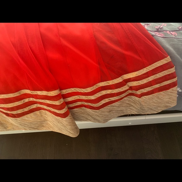 Long Indian Style formal dress. - Picture 3 of 4